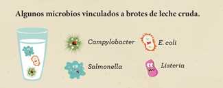 Microbios relacionados con epidemias. 