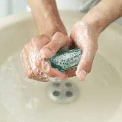 Lávese las manos cuidadosamente con agua y jabón.