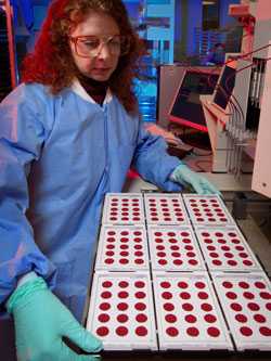 Joanne Mei trabajando con gotas de sangre seca en el laboratorio