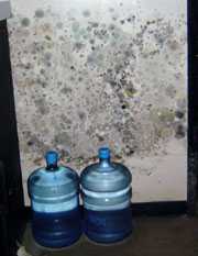 dos botellas plásticas de agua frente a una pared cubierta con moho