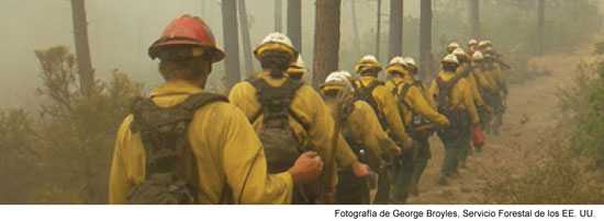 Grupo de bomberos que combaten incendios forestales.