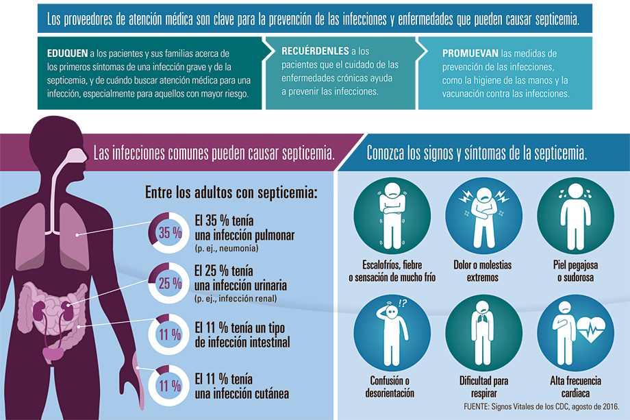 Infografía: Los proveedores de atención médica son clave para la prevención de las infecciones y enfermedades que pueden causar septicemia.