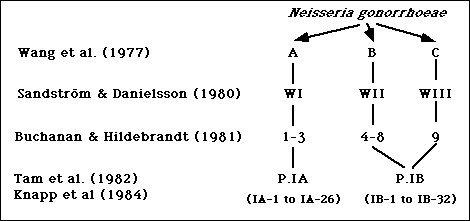 Summary of serotyping systems for N. gonorrhoeae based on polyvalent antisera