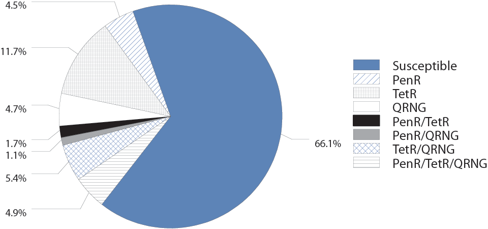 Figure 28. <em>Neisseria gonorrhoeae</em> — Percentage of Isolates with Penicillin, Tetracycline, and/or Ciprofloxacin Resistance, Gonococcal Isolate Surveillance Project (GISP), 2013