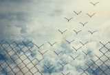 Illustration of links in a chain link fence separating from the fence resembling birds and flying away