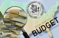 Tutorial on federal budget and financial management