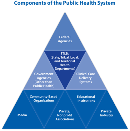 As depicted in the pyramid, United States’ governmental public health system represents a complex and broad range of federal, state, and local health agencies, laboratories and hospitals, as well as nongovernmental public and private agencies, voluntary organizations, and individuals. Federal agencies are represented at the top and health departments at the center of the pyramid because of their primary leadership responsibilities for developing a broad knowledge base so that policy is driven by long-range issues, ensuring that the public interest is served, and achieving a balance between individual liberties and equitable actions for the good of the community. The pyramid represents components of the public health system that are likely to receive capacity building assistance through the “Building Capacity of the Public Health System to Improve Population Health through National, Nonprofit Organizations” grant.