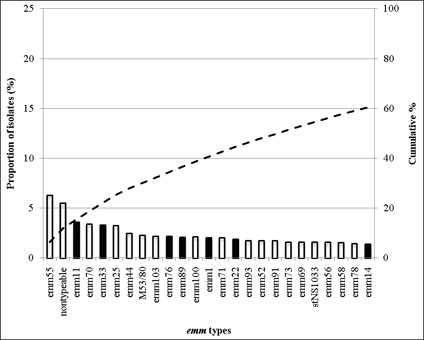 Fig1-E: The 25 most common emm types contributing to disease in the Pacific Island Countries/ Indigenous Australians (there was a further emm type not included on this graph that was equal 25th; this was emm74): these 26 emm types accounted for 61.8% of all isolates from the region with 74 types contributing to the remaining 38.2% of isolates. Emm55, nontypeable, emm11, emm70, emm33, emm25, emm44, MS3/80, emm103, emm76, emm89, emm100, emm1, emm71, emm22, emm93, emm52, emm91, emm73, emm69, stNS1033, emm56, emm58, emm78, emm14.