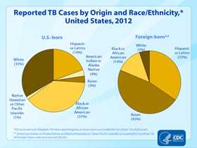 Slide 15. Reported TB Cases by Origin and Race/Ethnicity, United States, 2012. Click here for larger image