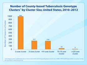 Slide 35. Number of County-based Tuberculosis Genotype Clusters by Cluster Size, United States, 2010–2012. Click here for larger image