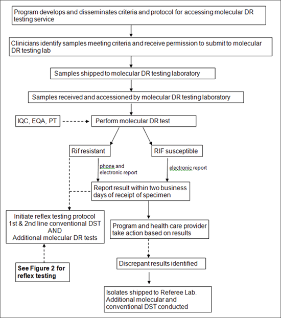 Flow Chart of steps in a molecular drug-resistance testing service, see below for text version