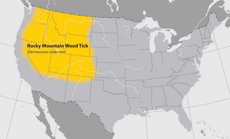 Map of the United States showing the approximate distribution of the Rocky mountain wood tick.  The area effected is the Northwestern part of the country.