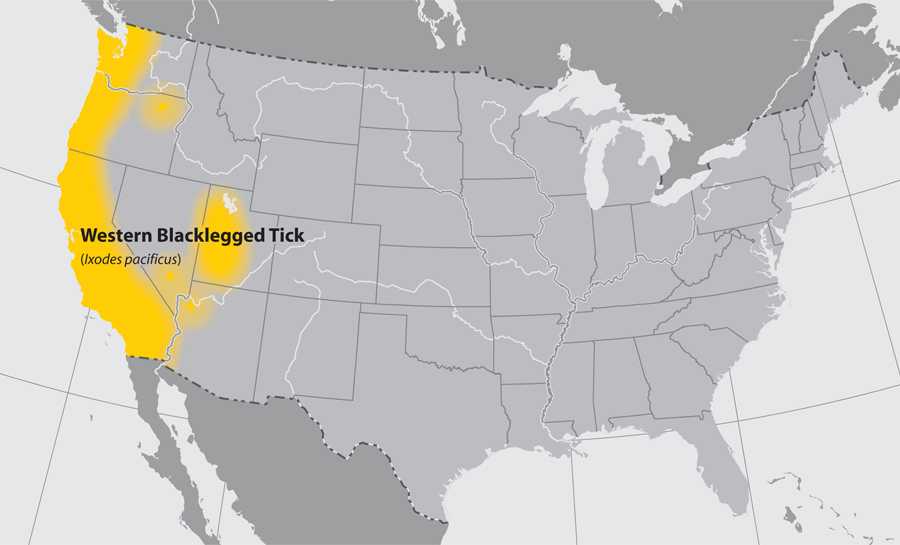 Map of the United States showing the approximate distribution of the Western blacklegged tick.  The area affected is the western coast.