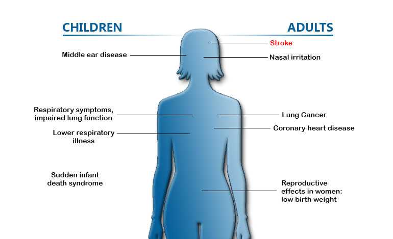 Diagram showing the effects of secondhand smoke. In children: Middle ear disease, respiratory symptoms, impaired lung function, Lower respiratory illness, sudden infant death syndrome.  In Adults:  Stroke, nasal irritation, lung cancer, coronary heart disease, reproductive effects in women; low birth weight