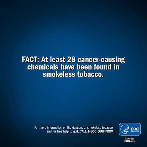 The image states that at least 28 cancer-causing chemicals have been found in smokeless tobacco.