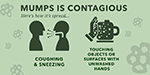 This infographic details the symptoms of mumps, how it is spread, and how it can be prevented – the MMR vaccine. Learn more about this serious disease.