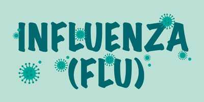 The Flu (Influenza)