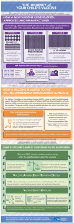 Journey of Your Child's Vaccine infographic
