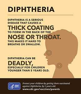 Small infographic showing the facts about diphtheria and how to protect your child.