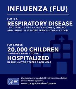 Small infographic showing the facts about the flu and how to protect your child.