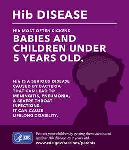 Small infographic showing the facts about hib disease how to protect your child.