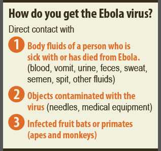 Infographic: Ebola Basics