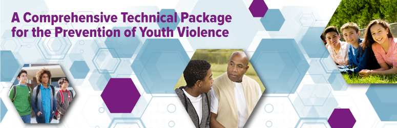 Youth Violence Technical Packages
