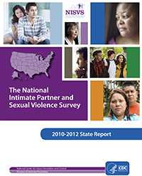 NISVS State Report 2017