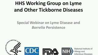 HHS Working Group on Lyme and other Ticborne Diseases Logo