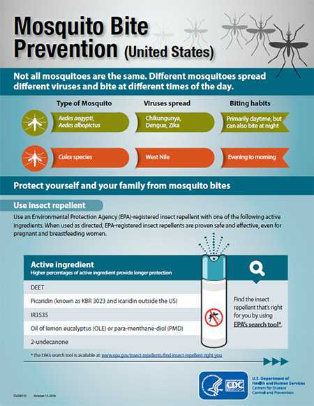 Mosquito bite prevention fact sheets thumbnail