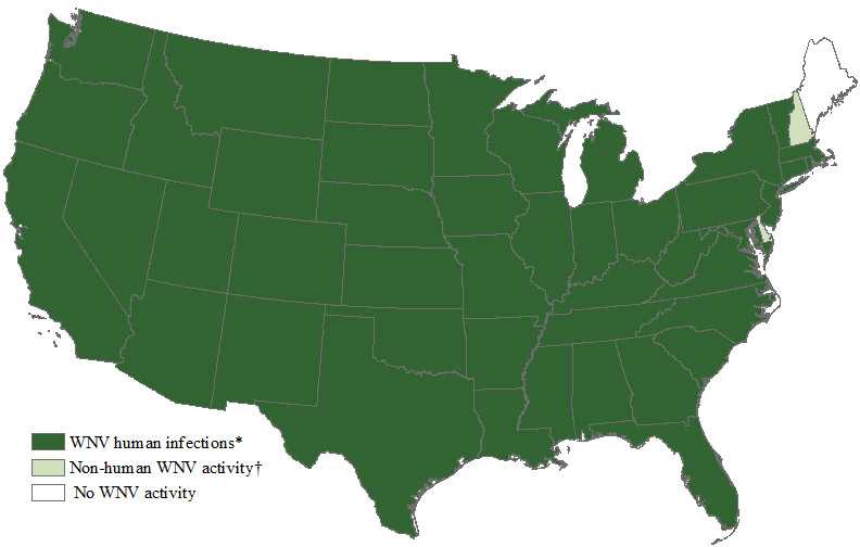 Map%20of the United States showing West Nile virus activity by state