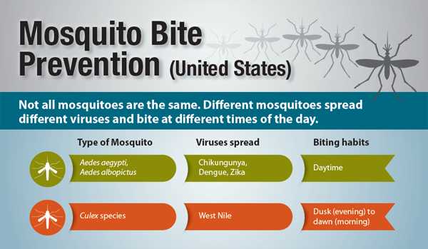 Mosquito Bite Prevention (United States) Not all mosquitoes are the same.  Different mosquitoes spread different viruses and bite at different times of the day.  