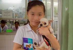 A young Vietnamese girl brings her puppy to the clinic to get the rabies vaccine.