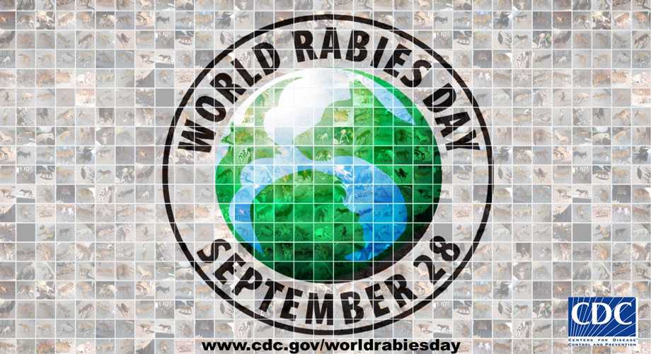 World Rabies Day September 28th banner
