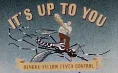 It's up to you: dengue-yellow fever control, 1945