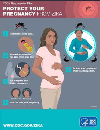 Proteja su embarazo del zika