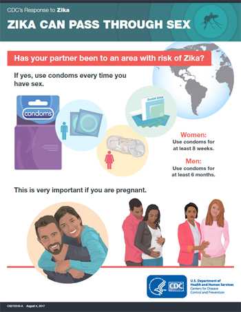 Zika can pass through sex fact sheet thumbnail