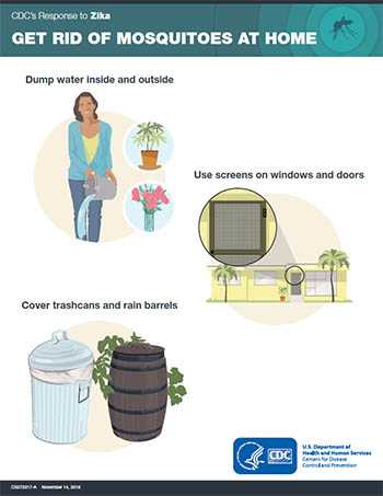 Get rid of mosquitoes at home fact sheet thumbnail