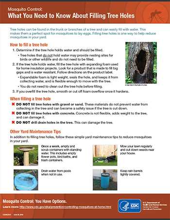 Mosquito Control: What You Need to Know About Filling Tree Holes fact sheet thumbnail