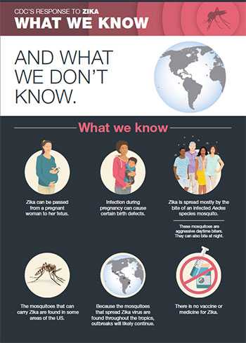 Zika virus. What we know infographic.