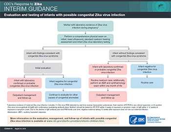 Interim guidlines for the evaluation and testing of infants whose mothers traveled to or resided in an area with ongoing Zika virus transmission during pregnancy infographic thumbnail