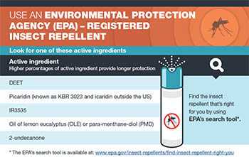 Use an Environmental Protection Agency (EPA) – Registered Insect Repellent fact sheet thumbnail