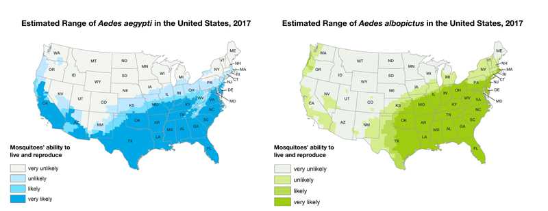 Two maps of the United States showing Aedes aegypti and Aedes albopictus mosquitoes are or have been previously found. Aedes aegypti range is the southern half of the United States. Aedes albopictus range is the eastern half of the United States as well as the southwest