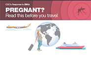 Pregnant? Read this before you travel infographic thumbnail