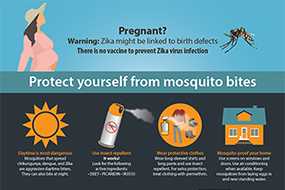 	Protect yourself from mosquito bites poster thumbnail