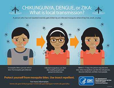 Chikungunya, Dengue, or Zika:  What is local transmission?  A person who has not traveled recently gets bitten by an infected mosquito where they live, work, or play.