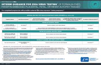 Directrices provisionales para la realización de pruebas del virus del Zika* de tejidos placentarios, fetales o de la autopsia del bebé embebidos en parafina y fijados en formalina - Vista en miniatura