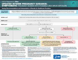 Updated Interim Pregnancy Guidance