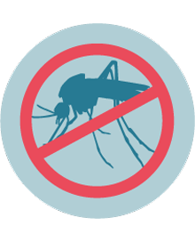 Control young mosquitoes