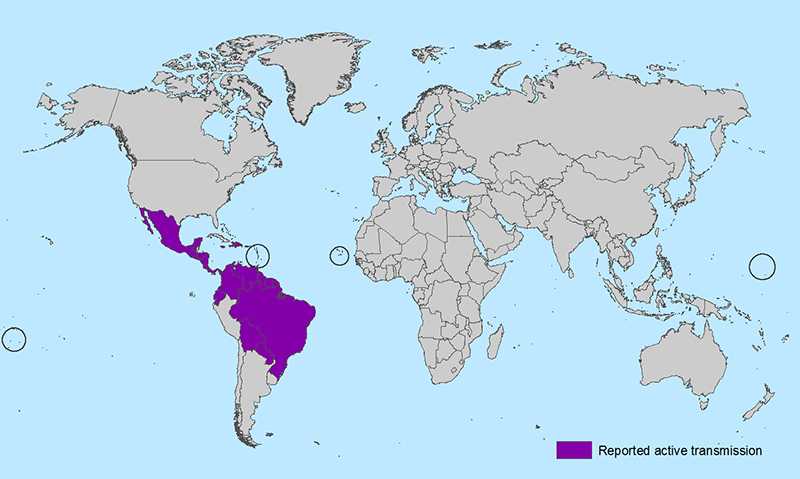 World map showing countries and territories with reported active transmission of Zika virus (as of February 29, 2016). Countries are listed in the table below.